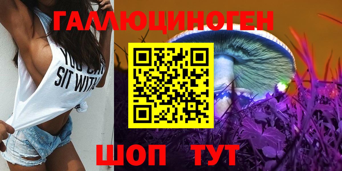 Галлюциногенные грибы Psilocybe Алексеевка